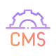 CMS Development Process - Techved