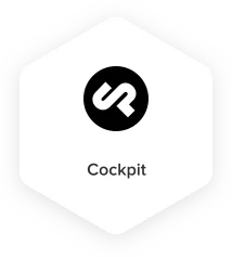 Headless CMS Platform Cockpit - Techved