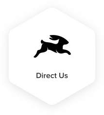 Headless CMS Platform Direct Us - Techved