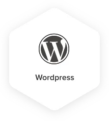 CMS Platform Wordpress - Techved