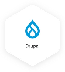 CMS Platform Drupal - Techved
