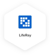 CMS Platform LifeRay - Techved