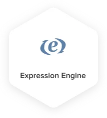 CMS Platform Expression Engine - Techved